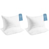 King (Adjustable Foam  Pack of 2)
