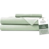 07 - Light Green